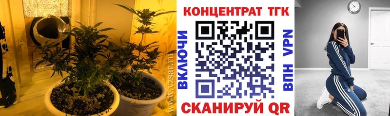 ТГК THC oil  Купить закладки  Теберда 